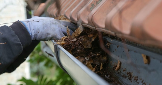 gutter cleaning